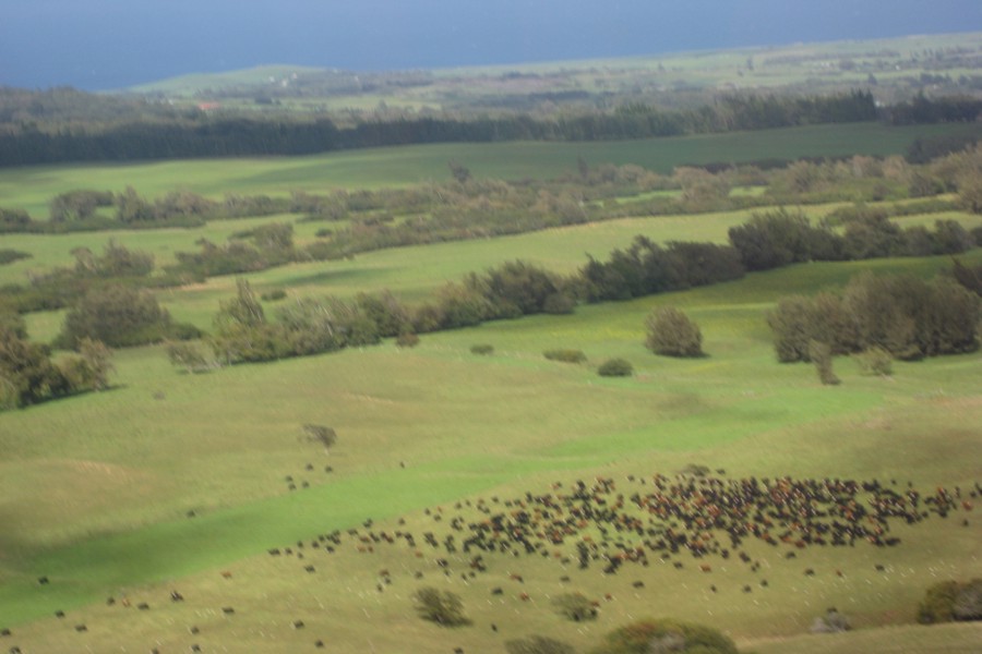 ../image/big island spectacular heading back to waikoloa 3.jpg